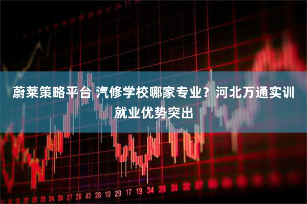 蔚莱策略平台 汽修学校哪家专业？河北万通实训就业优势突出