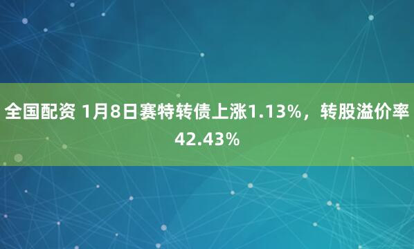 全国配资 1月8日赛特转债上涨1.13%，转股溢价率42.43%